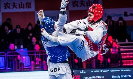 Biomehanička analiza snage nogu- Kickboxing vs Taekwondo