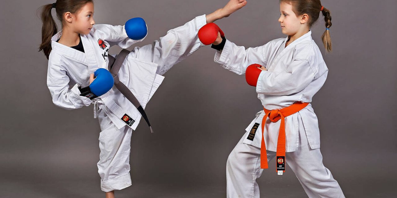 Karate škole: Shotokan, Kyokushin, Wado-ryu…Koja je razlika i što odabrati?