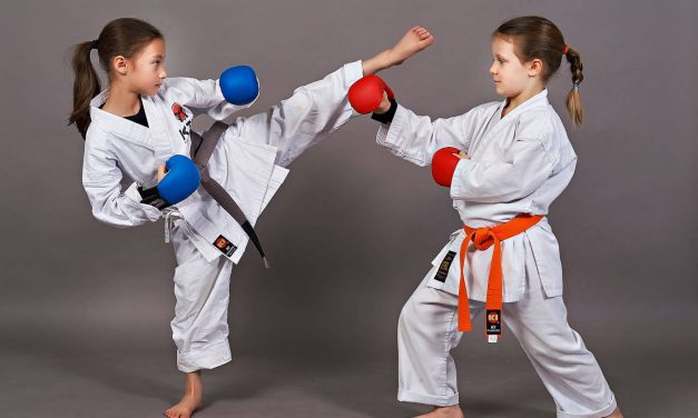 Karate škole: Shotokan, Kyokushin, Wado-ryu…Koja je razlika i što odabrati?